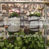 Pop Up Hanging Planter Bag In The Air