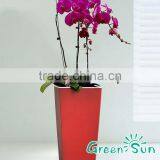 Transparent Plastic Orchid Pot With Self Watering Planters thumbnail-1