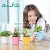 Hydroponic Bright Color Small Plastic Flower Pot for Home Garden Interior Christmas Decoration thumbnail-3