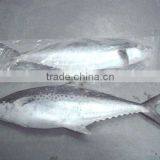 King Fish Whole Round thumbnail-1