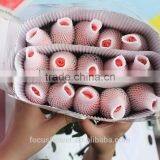 Fresh Cut Diana Rose Flowers High Quality Diana Roses From KUNMING thumbnail-6