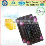 China Supply Factory Price PP ProtectiveTray for Apple Packing thumbnail-6