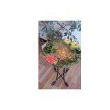 Birdbath 5 thumbnail-1