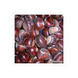 Sell Chestnut thumbnail-1