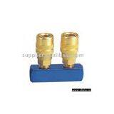 Coupling thumbnail-1