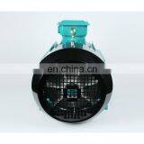 Three Phase Squirrel Cage Induction Electric Motor 5 hp 1450rpm 4kw thumbnail-6