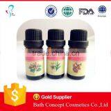 Wholesale Natural Aroma Diffuser Essential Oil thumbnail-5