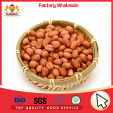HIGH QUALITY PEANUT KERNELS BY JUNAN KAIBING thumbnail-5