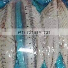 Wholesale Frozen Steamed Mackerel Fillet Block thumbnail-4