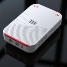 Router CE Certification: Guaranteeing Compliance for Network Core Devices