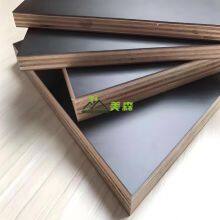 Plywood Sheet 4X8 9mm 12mm 15mm Waterproof Melamine Laminated Marine Plywood 18mm in Philippines thumbnail-4