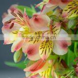 Gift manufacture alstroemeria