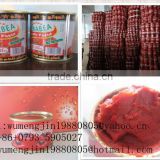 425G cold break canned tomato paste to tomato sauce with best price