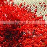 (goji Berry) Red Goji thumbnail-1
