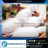 Best Quality Whole Round Block Frozen Baby Cuttlefish for Sale thumbnail-1