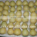 Juicy Sweet Golden Delicious Apple thumbnail-1