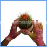 Best-selling Nitrile Coated Women Garden Gloves Manufacturer thumbnail-2
