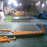 Al Shareed Enterprises company overview - view 2 thumbnail