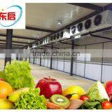 Fish Storage Freezer thumbnail-1