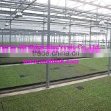 horticulture Lighting ballast,1000w,600w,400w,250w