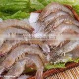 Frozen Food Metal Detector (SW-D300) thumbnail-6