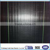 PP Export EU USA Woven Geotextile/Pp Woven Fabric/Ground Cover thumbnail-2