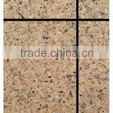 Anti-fungus Stone Simulation Paint With Favorable Price