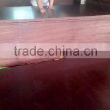 Film Faced Plywood/formwork Plywood/ Waterproof Plywood thumbnail-3