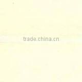 CB10 Crowbar 600x25mm