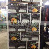 Navel Oranges (Seedless Orange) thumbnail-2