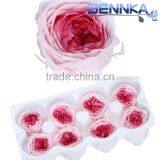Fresh Cut Roses Preserved Fresh Flower Asuting Rose For Wedding Decoration thumbnail-2
