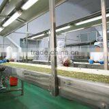 Green Pumpkin Seed Kernel Grown Without Shell thumbnail-5