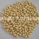 High Efficiency !!! Peanut Skin Peeling Machine/Peanut Skin Sheller Machine/Peanut Red Skin Removing Machine With Factory Price thumbnail-4