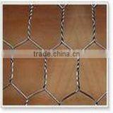 bird cage wire mesh