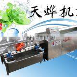 Taiwan Teemyeah TW-406 Efficient Continuously Vegetable Washing Machine thumbnail-2