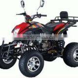 Kids Gas Powered Atv 50cc( ATV50-010) thumbnail-2