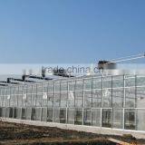 Arc Multi-span Glass Greenhouse for Strawberry thumbnail-4