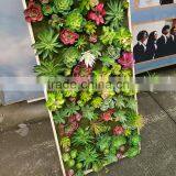 Indoor Decoration Artificial Mini Succulent Plants Wall thumbnail-4
