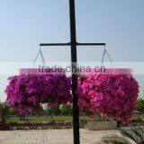 SOL 2015 Environment-friendly Hydroponics Plastic Flower Basket Hanging Flower Pots thumbnail-2