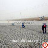 PP Interlock Biaxial Geogrids for Paving Extruded Biaxial Geogrids thumbnail-1