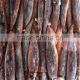 New Coming Illex Squid 100-150g thumbnail-1
