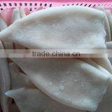 Frozen Fresh New Produced U5 Squid Tube thumbnail-1