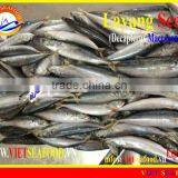 FROZEN LAYANG SCAD WHOLE ROUND thumbnail-1