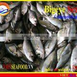 FROZEN BIGEYE SCAD WHOLE ROUND thumbnail-3