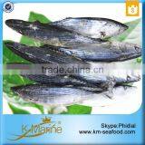 Seafood Fresh Frozen Sarda Fish For Delicious Canned Tuna thumbnail-2