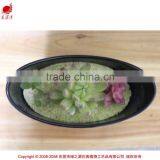 Artificial Mini Plant Potted Succulent Combination Mini Succulent thumbnail-5