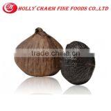 2016 Fermented Solo Black Garlic From China is Welcoming thumbnail-4