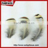 6-8cm cheap reeves pheasant tail feathers headpiece carnival
