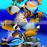 Cheap 3D Lenticular Postcard Printing