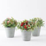 Mini Plastic Artificial Flowers Wild Potted Plan thumbnail-1